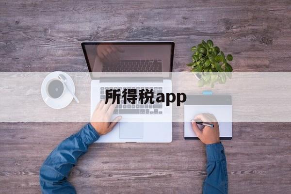 所得税app(所得税app下载)